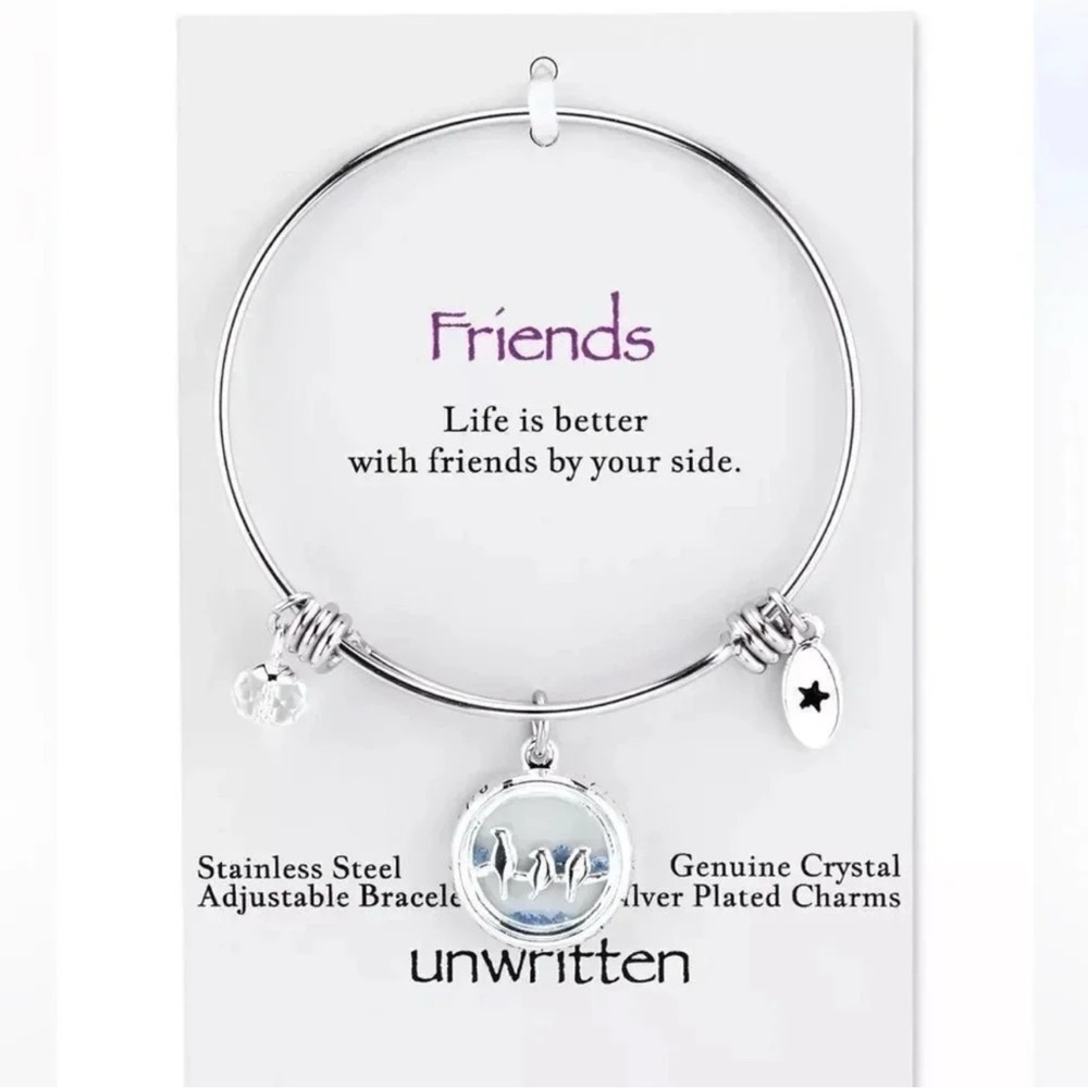 Anthropologie Friends Bird Charm Bangle Bracelet in Stainless Steel